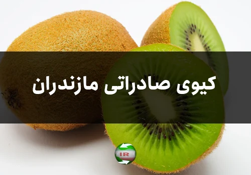 کیوی صادراتی مازندران