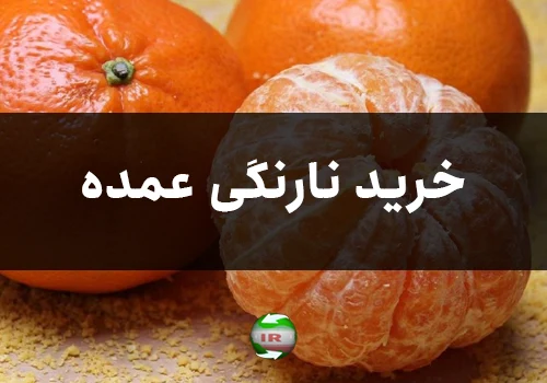 خرید نارنگی عمده