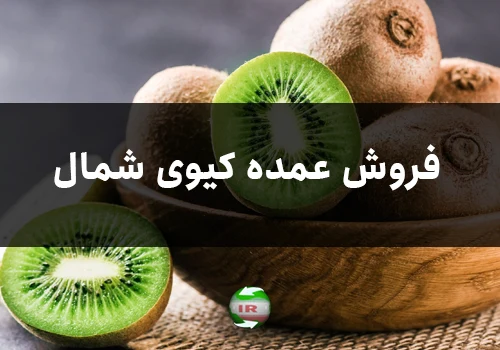 فروش عمده کیوی شمال