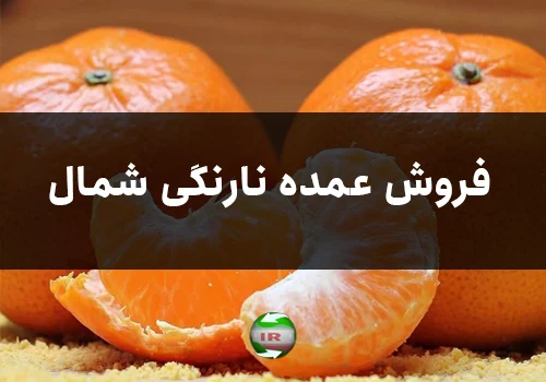 فروش عمده نارنگی شمال