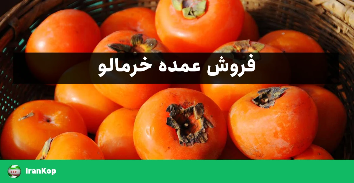 فروش عمده خرمالو