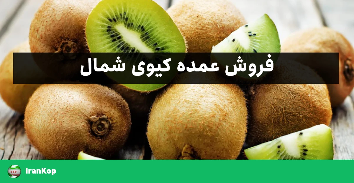 فروش عمده کیوی شمال