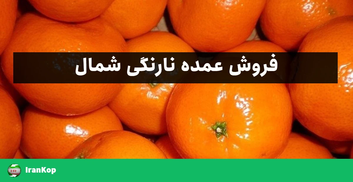 فروش عمده نارنگی شمال