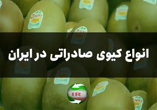 انواع کیوی صادراتی