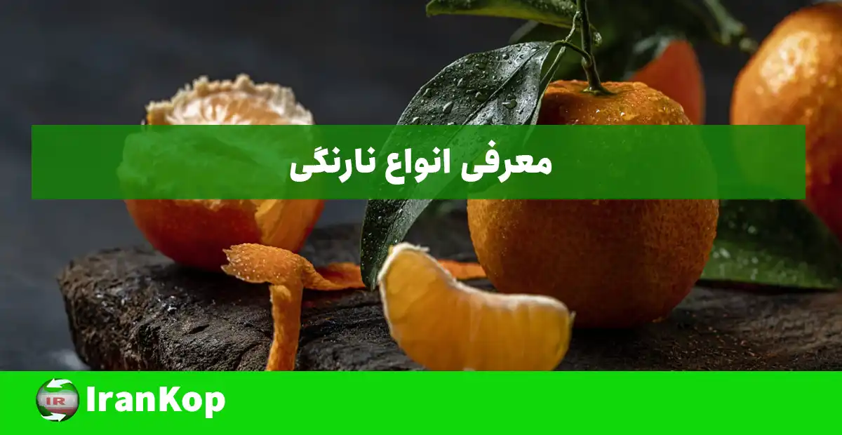 انواع نارنگی