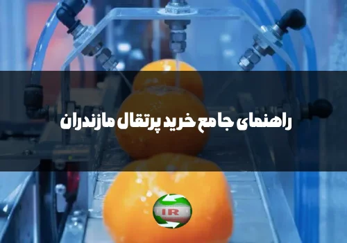 فرآیند گرمادرمانی پرتقالها با دستگاه