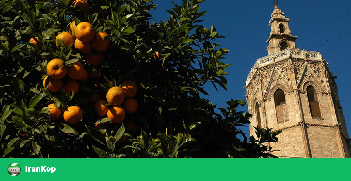 خرید و قیمت پرتقال والنسیا