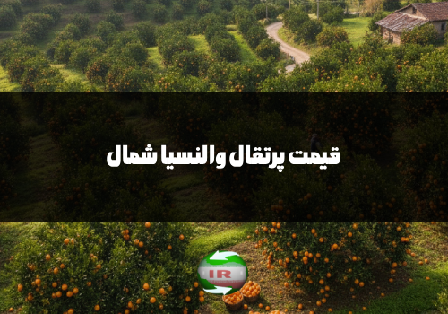 قیمت پرتقال والنسیا شمال