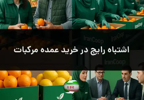 اشتباه رایج در خرید عمده مرکبات