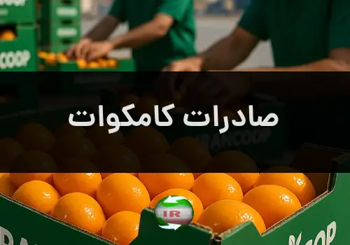 صادرات کامکوات