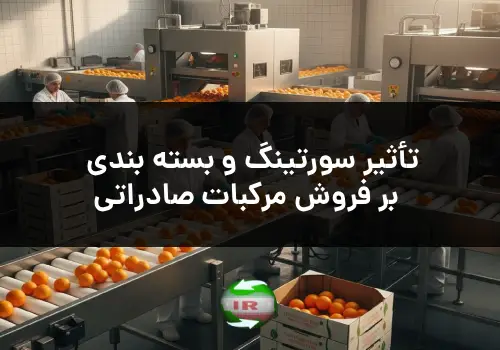 تأثیر سورتینگ و بسته‌ بندی بر فروش مرکبات صادراتی