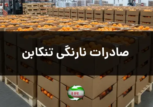 صادرات نارنگی تنکابن